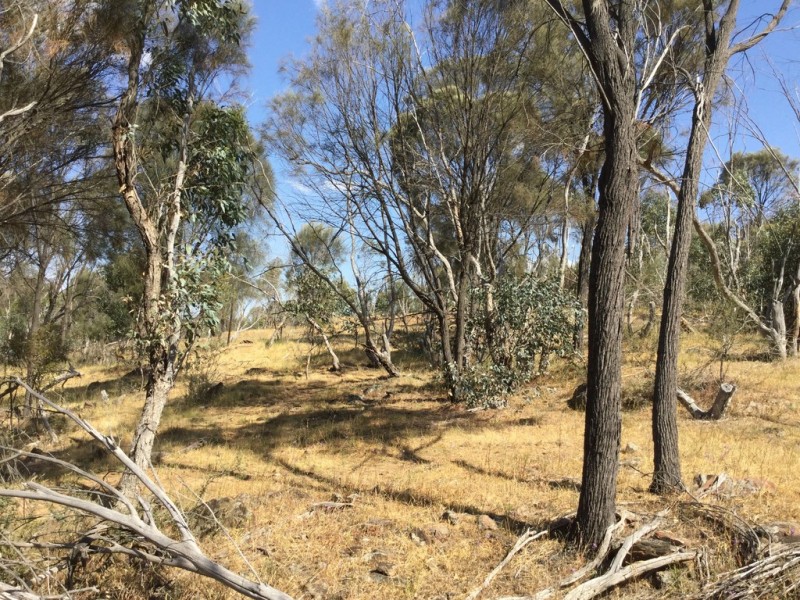 . DUNLOP ROAD, St Arnaud VIC 3478