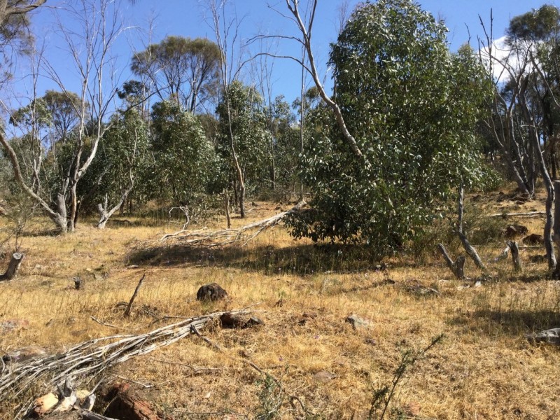 . DUNLOP ROAD, St Arnaud VIC 3478