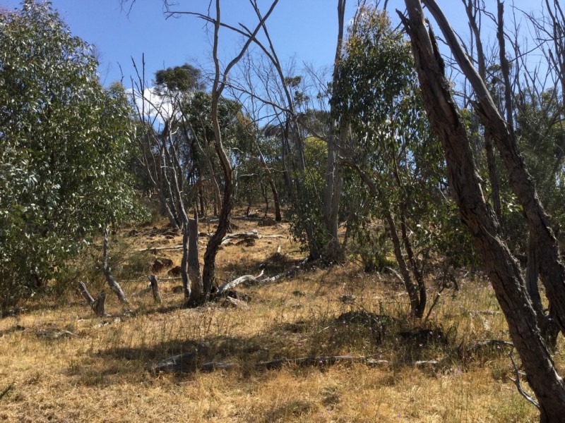 . DUNLOP ROAD, St Arnaud VIC 3478