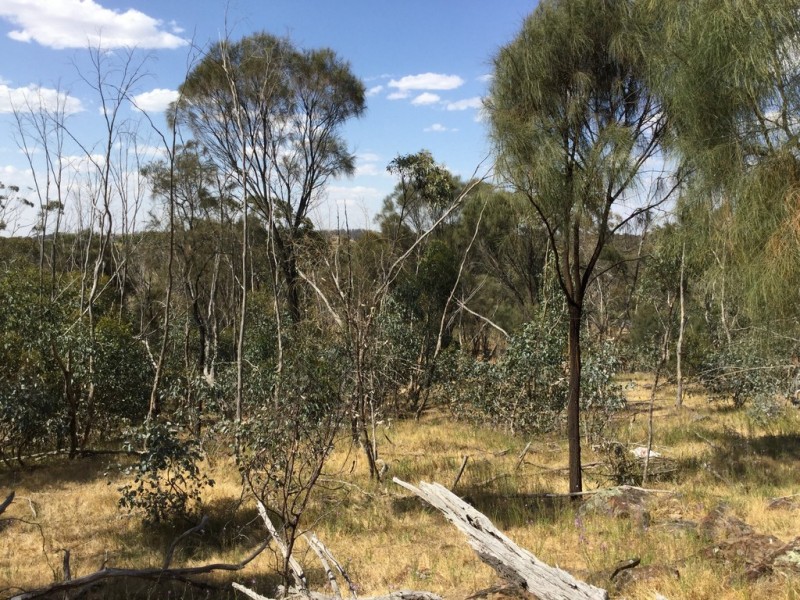 . DUNLOP ROAD, St Arnaud VIC 3478