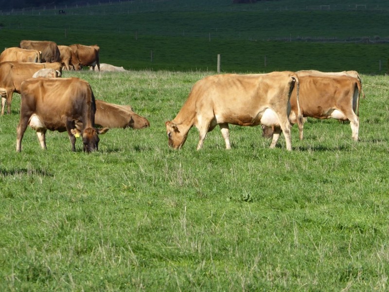 30 WARES ROAD, Panmure VIC 3265