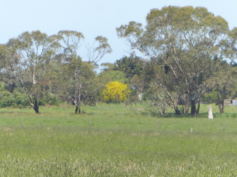 30 WARES ROAD, Panmure VIC 3265