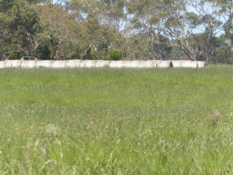 30 WARES ROAD, Panmure VIC 3265