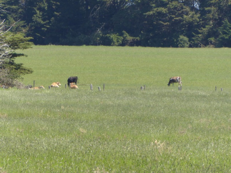 30 WARES ROAD, Panmure VIC 3265