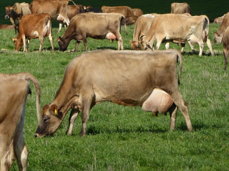 30 WARES ROAD, Panmure VIC 3265