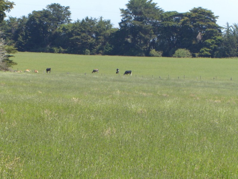 30 WARES ROAD, Panmure VIC 3265