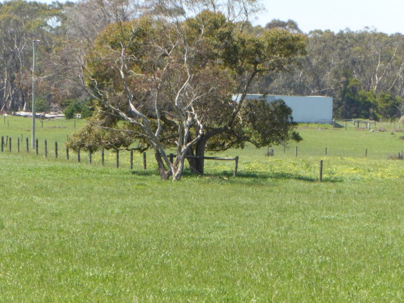 30 WARES ROAD, Panmure VIC 3265