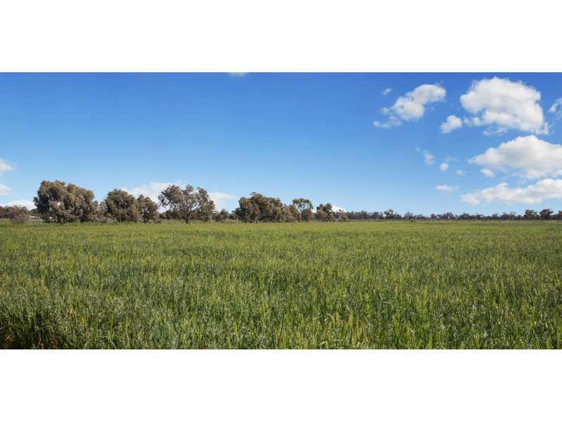 60 Freestone Road, Murchison North VIC 3610