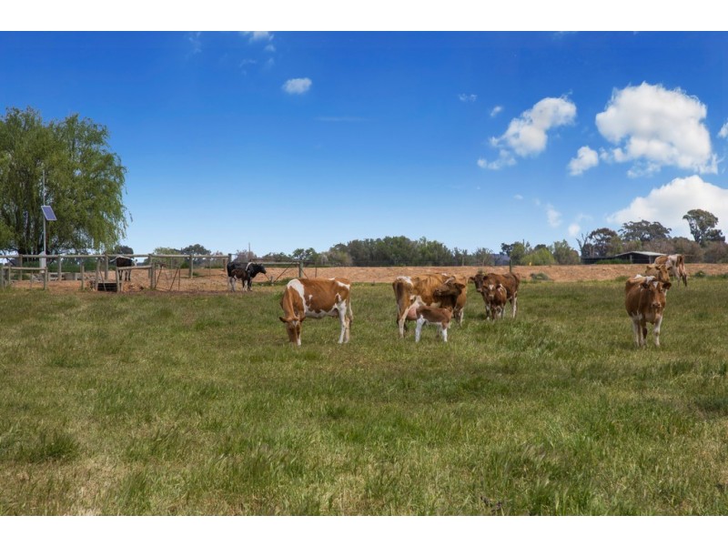 60 Freestone Road, Murchison North VIC 3610
