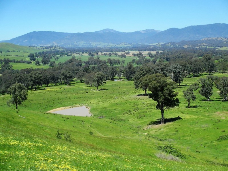 2227 Goulburn Valley Hwy, Alexandra VIC 3714