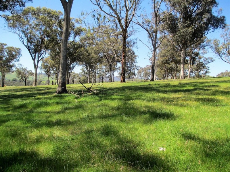 2227 Goulburn Valley Hwy, Alexandra VIC 3714