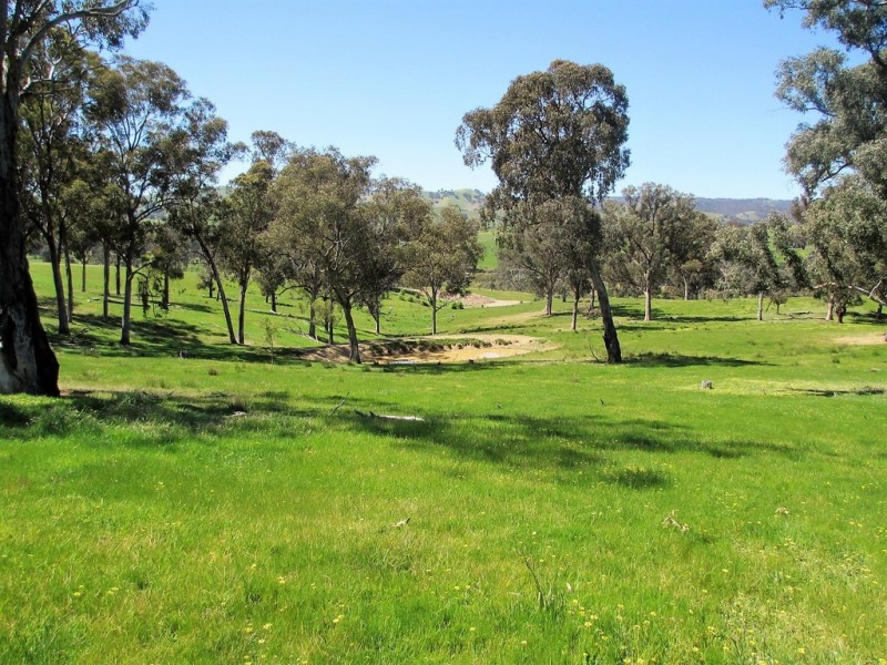 2227 Goulburn Valley Hwy, Alexandra VIC 3714