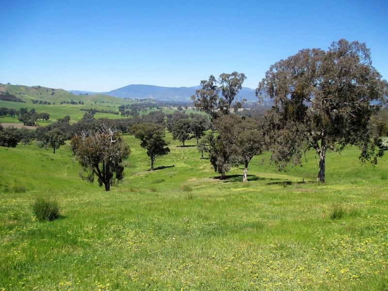 2227 Goulburn Valley Hwy, Alexandra VIC 3714