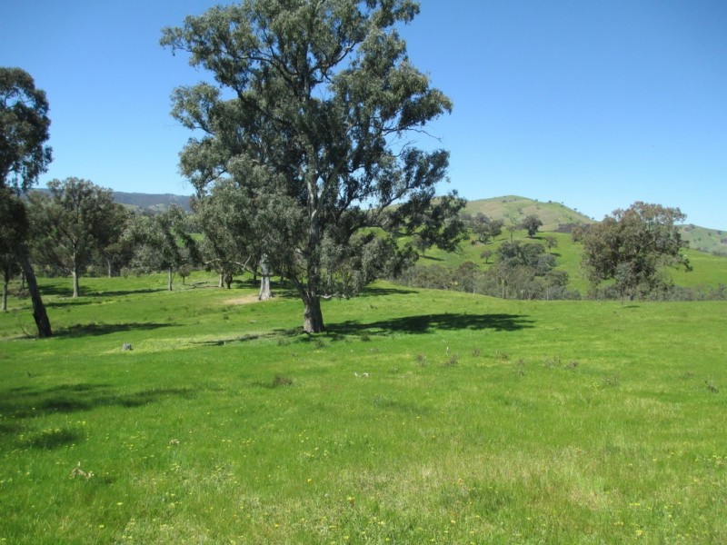 2227 Goulburn Valley Hwy, Alexandra VIC 3714