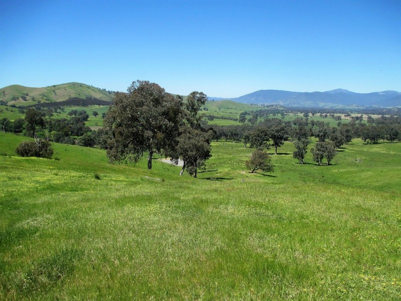 2227 Goulburn Valley Hwy, Alexandra VIC 3714