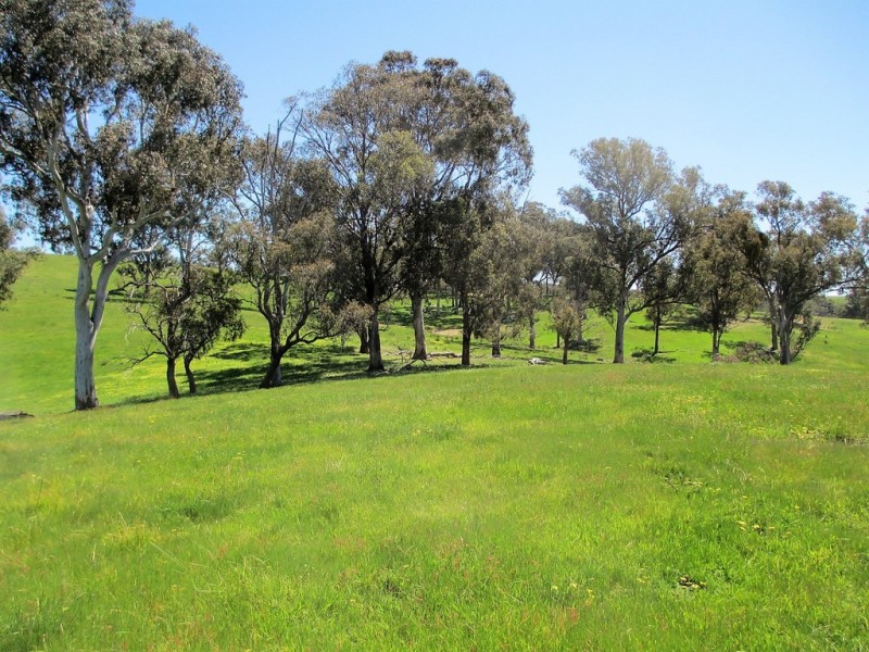 2227 Goulburn Valley Hwy, Alexandra VIC 3714