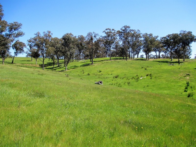 2227 Goulburn Valley Hwy, Alexandra VIC 3714