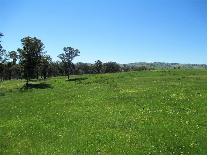 2227 Goulburn Valley Hwy, Alexandra VIC 3714