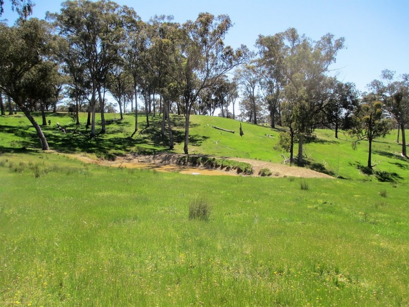 2227 Goulburn Valley Hwy, Alexandra VIC 3714