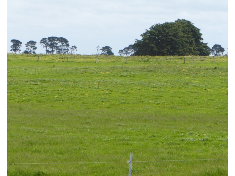 170 ALLANS ROAD, Framlingham VIC 3265