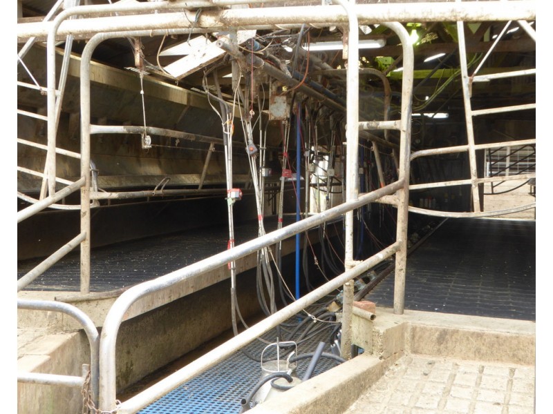 170 ALLANS ROAD, Framlingham VIC 3265