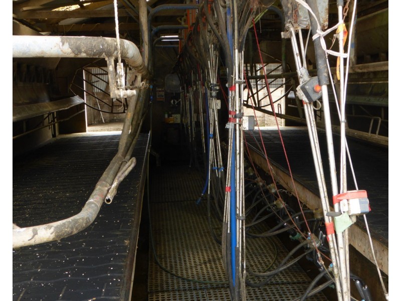 170 ALLANS ROAD, Framlingham VIC 3265