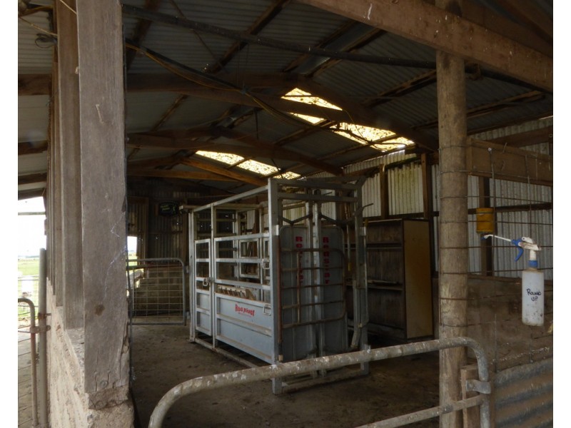 170 ALLANS ROAD, Framlingham VIC 3265