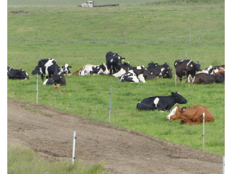 170 ALLANS ROAD, Framlingham VIC 3265