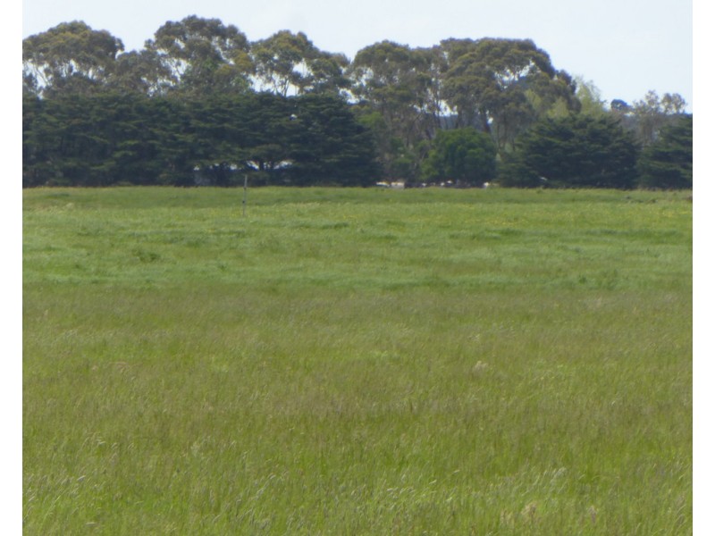 170 ALLANS ROAD, Framlingham VIC 3265