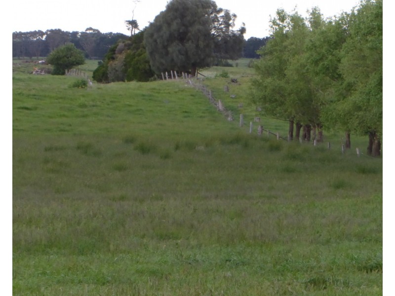 170 ALLANS ROAD, Framlingham VIC 3265