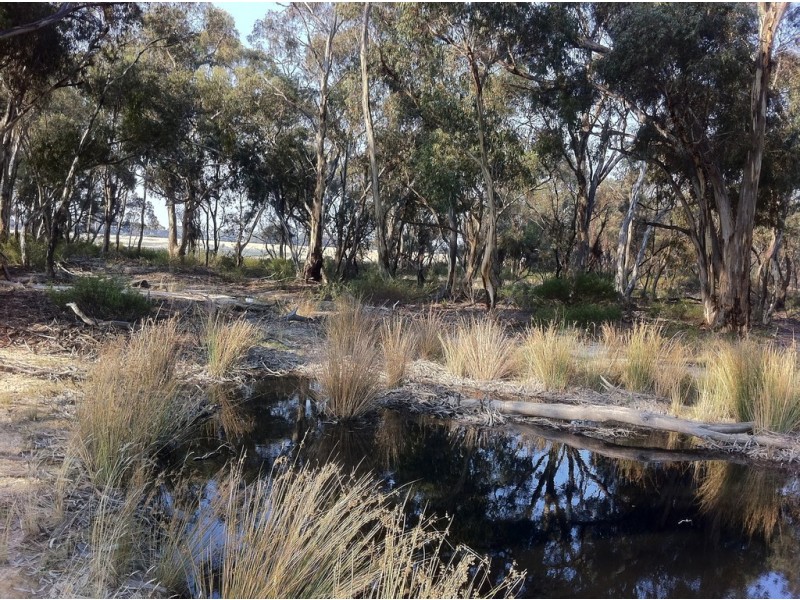 . Tom Kell Road, Slaty Creek VIC 3477