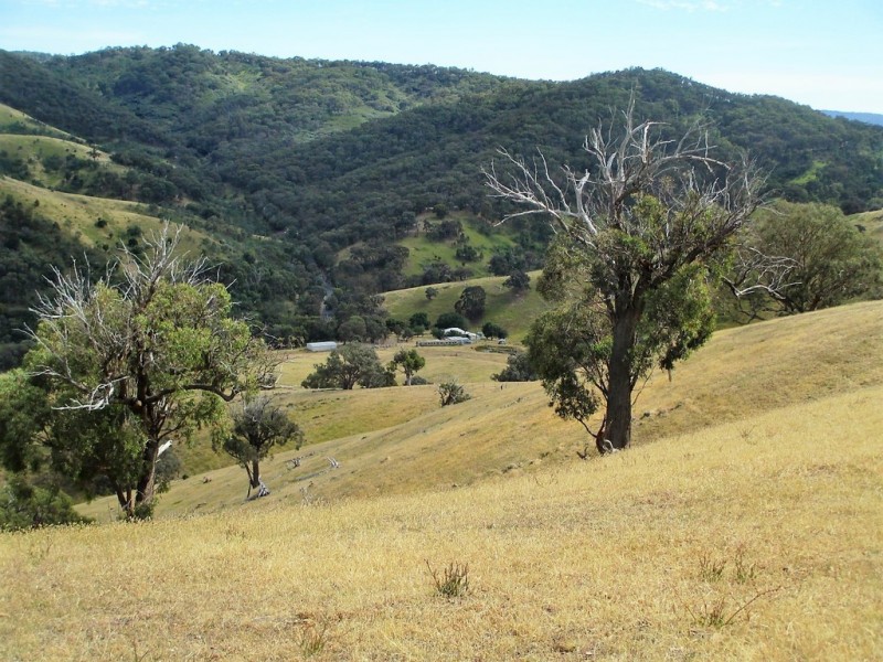 870 UT Creek Road, Alexandra VIC 3714