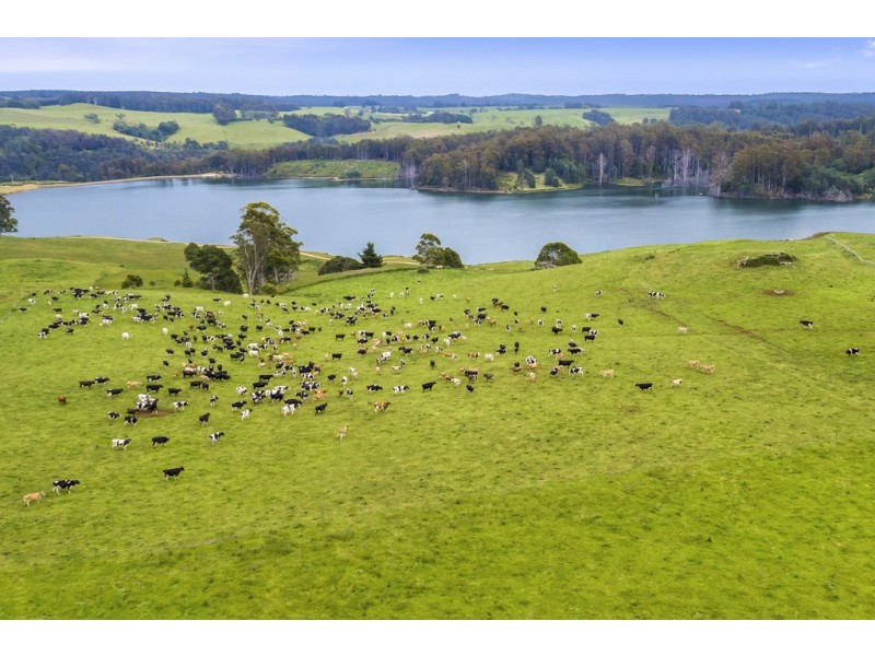 687 South Riana Road, South Riana TAS 7316