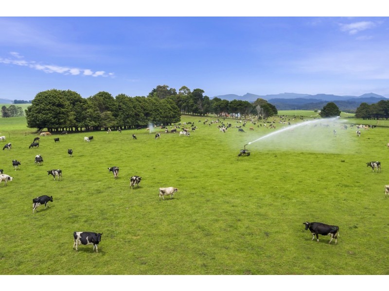 687 South Riana Road, South Riana TAS 7316