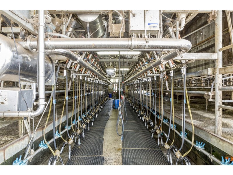 687 South Riana Road, South Riana TAS 7316