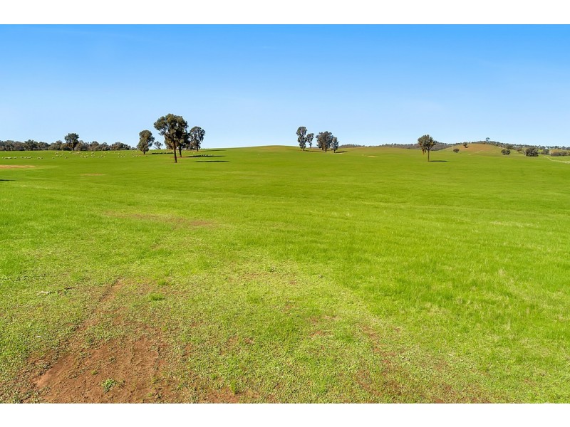 Lot 2 / 500 Greta Road, Glenrowan West VIC 3675