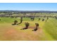 Lot 2 / 500 Greta Road, Glenrowan West VIC 3675