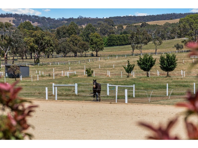 325 McHargs Road, Willowmavin VIC 3764