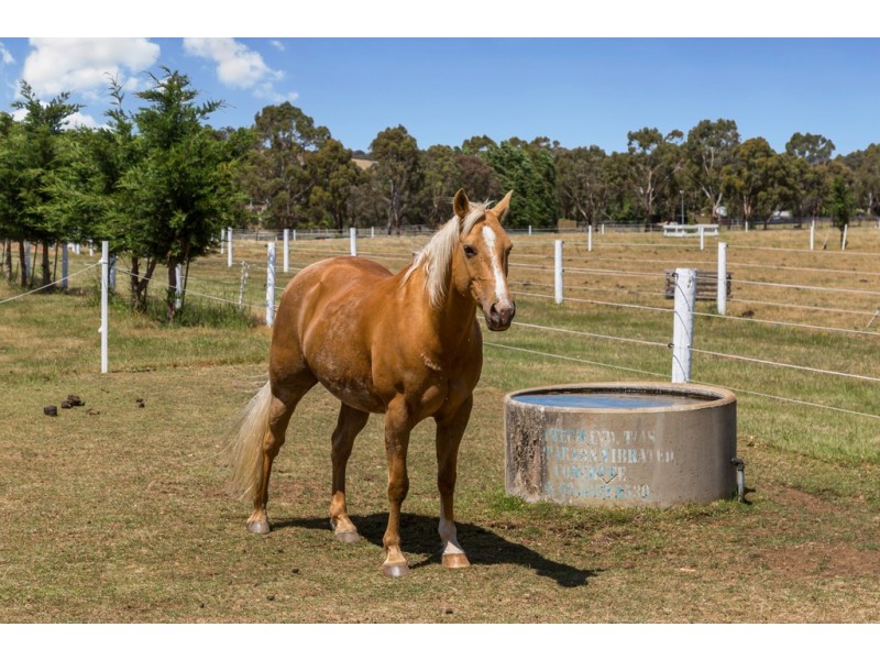 325 McHargs Road, Willowmavin VIC 3764