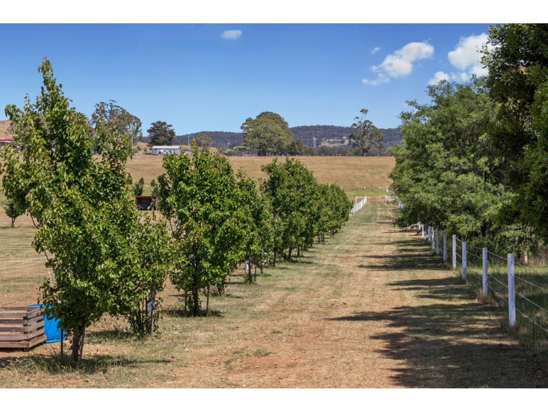 325 McHargs Road, Willowmavin VIC 3764