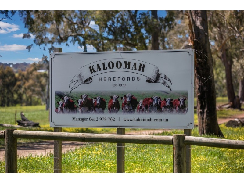 356 Shaws Road, Gobur VIC 3719