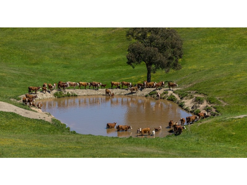 356 Shaws Road, Gobur VIC 3719