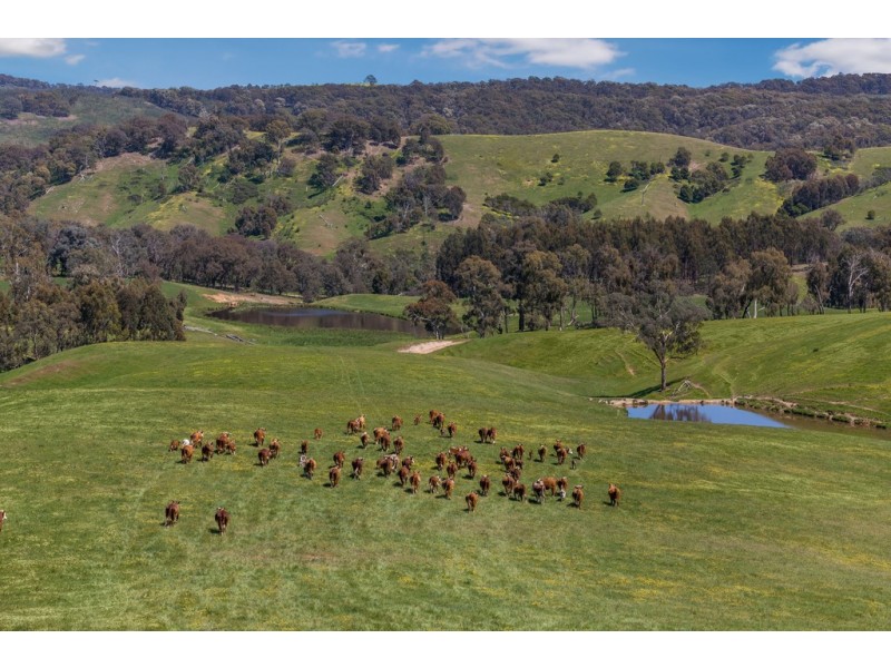 356 Shaws Road, Gobur VIC 3719