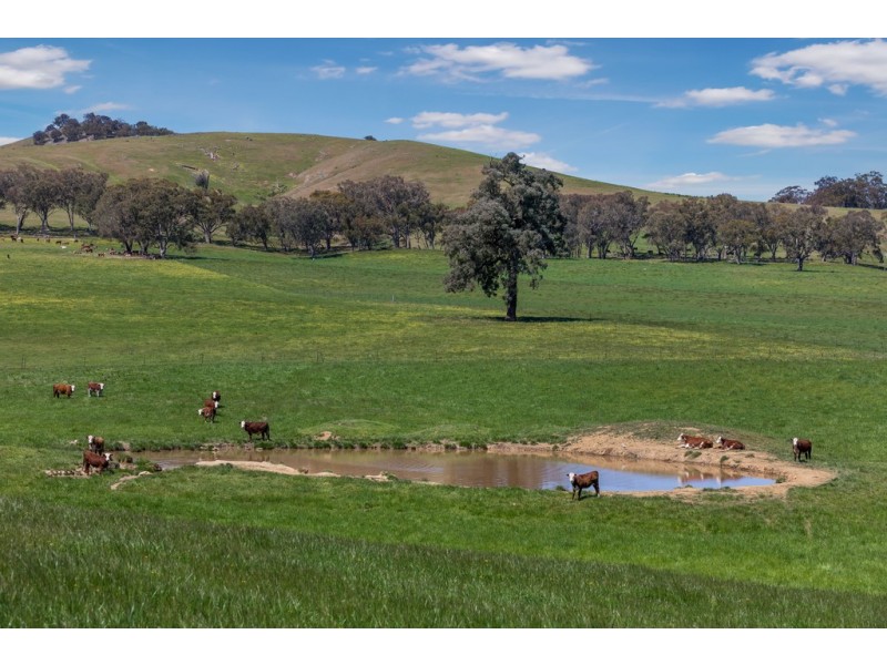 356 Shaws Road, Gobur VIC 3719