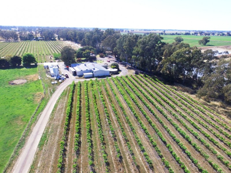 4134 MURRAY VALLEY HIGHWAY, Cobram VIC 3644