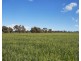 475 River Road, Murchison VIC 3610