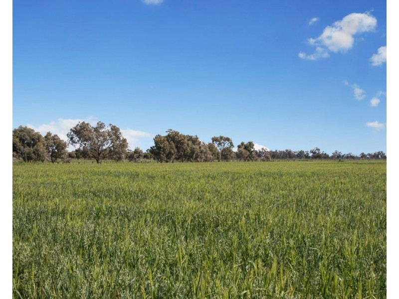 475 River Road, Murchison VIC 3610
