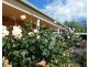 475 River Road, Murchison VIC 3610