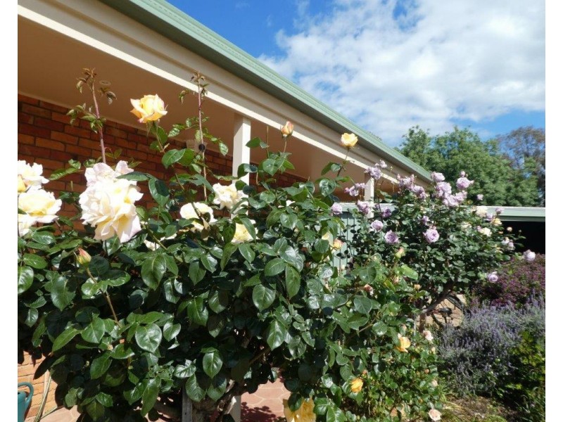 475 River Road, Murchison VIC 3610