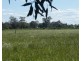 475 River Road, Murchison VIC 3610